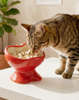 9oz Apple Bliss Elevated Cat Bowl