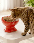 9oz Apple Bliss Elevated Cat Bowl