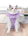 Soft Cotton Post-Surgery Cat Recovery Suit