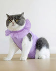 Soft Cotton Post-Surgery Cat Recovery Suit