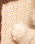Cozy Green Radio Cat Bed with scratchering