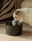 Ghost cat water fountain fresh flow