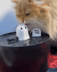 Ghost cat water fountain flow