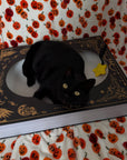 Midnight Grimoire Cat Scratcher