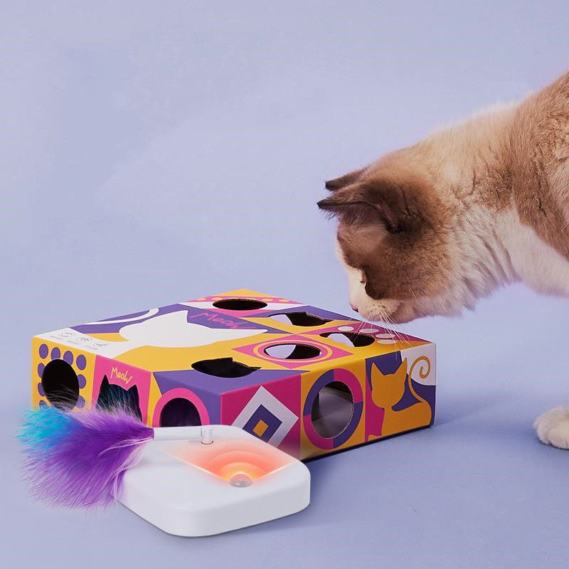Smart Cat Teaser Box