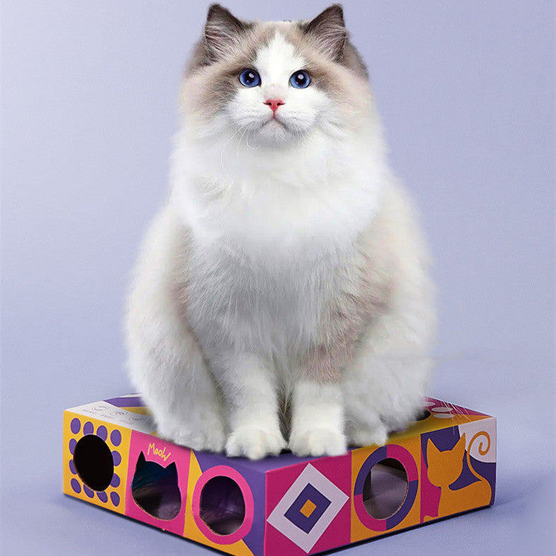 Smart Cat Teaser Box