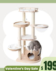 Whispering Hollow Cat Tree