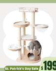 Whispering Hollow Cat Tree