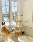 Whispering Hollow Cat Tree