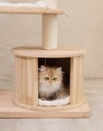 Oyal Crown Cat Tree