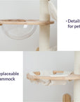 Oyal Crown Cat Tree