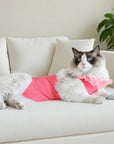 Cat Recovery Suit – Pink