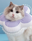 Protective Recovery Cone Cat Collar