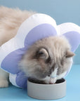 Protective Recovery Cone Cat Collar