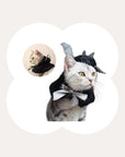 Bat Wing Cape with Hood for Cats