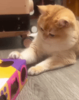 Smart Cat Teaser Box