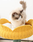 Yellow Tulip Cat Tree