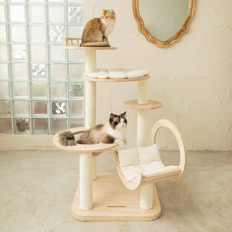 Two Cats sitting on the Transformable Cat Tree