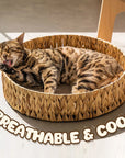 Handwoven Gourd Grass Cat Bed