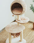 Top view of the Bird Nest Cat Tree