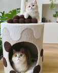 Sweet Cake Series Set