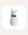 Christmas Plaid Cat Collar-Adjustable Anti-Choking Elegance