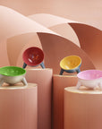 Contrasting Color Cat Bowl