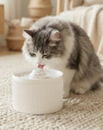 50oz Cloud Cat Water Fountain: Enhanced Filtering for Refreshing Hydration