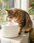 50oz Cloud Cat Water Fountain: Enhanced Filtering for Refreshing Hydration