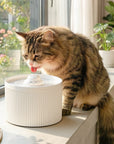 50oz Cloud Cat Water Fountain: Enhanced Filtering for Refreshing Hydration