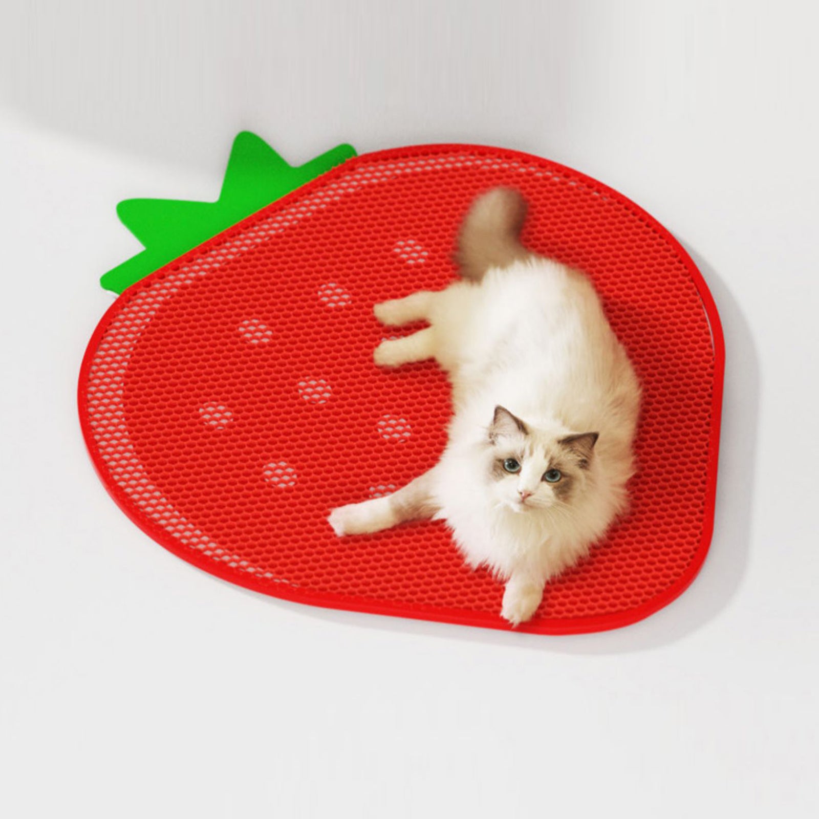 Double-Layer Strawberry Cat Litter Trapping Mat โ Keep Your Floors Clean