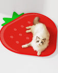 Double-Layer Strawberry Cat Litter Trapping Mat โ Keep Your Floors Clean