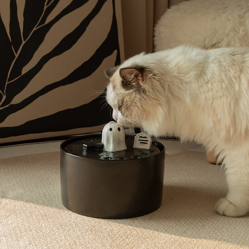 cat drinking fountain