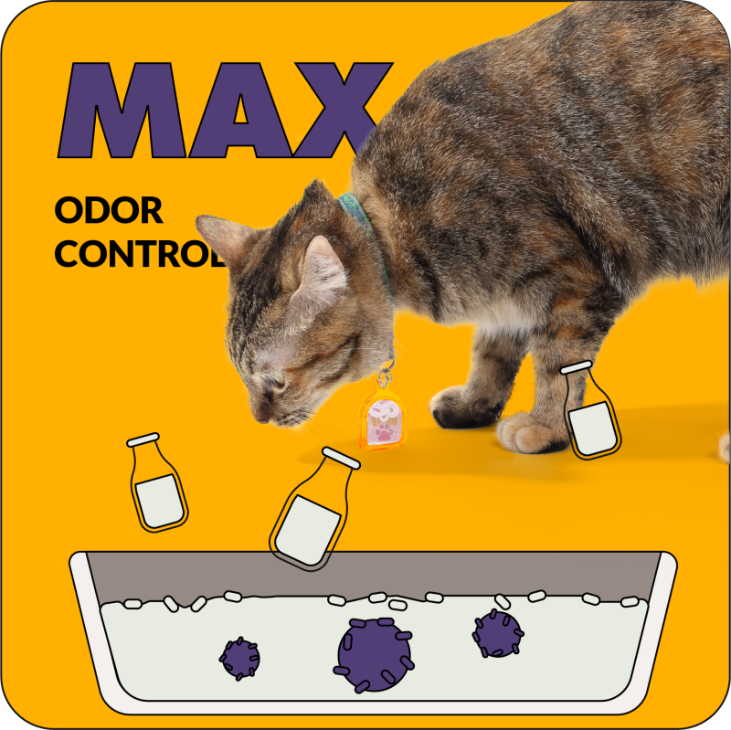 odor control cat litter