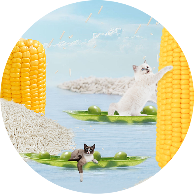 natural-cat-litter natural cat litter