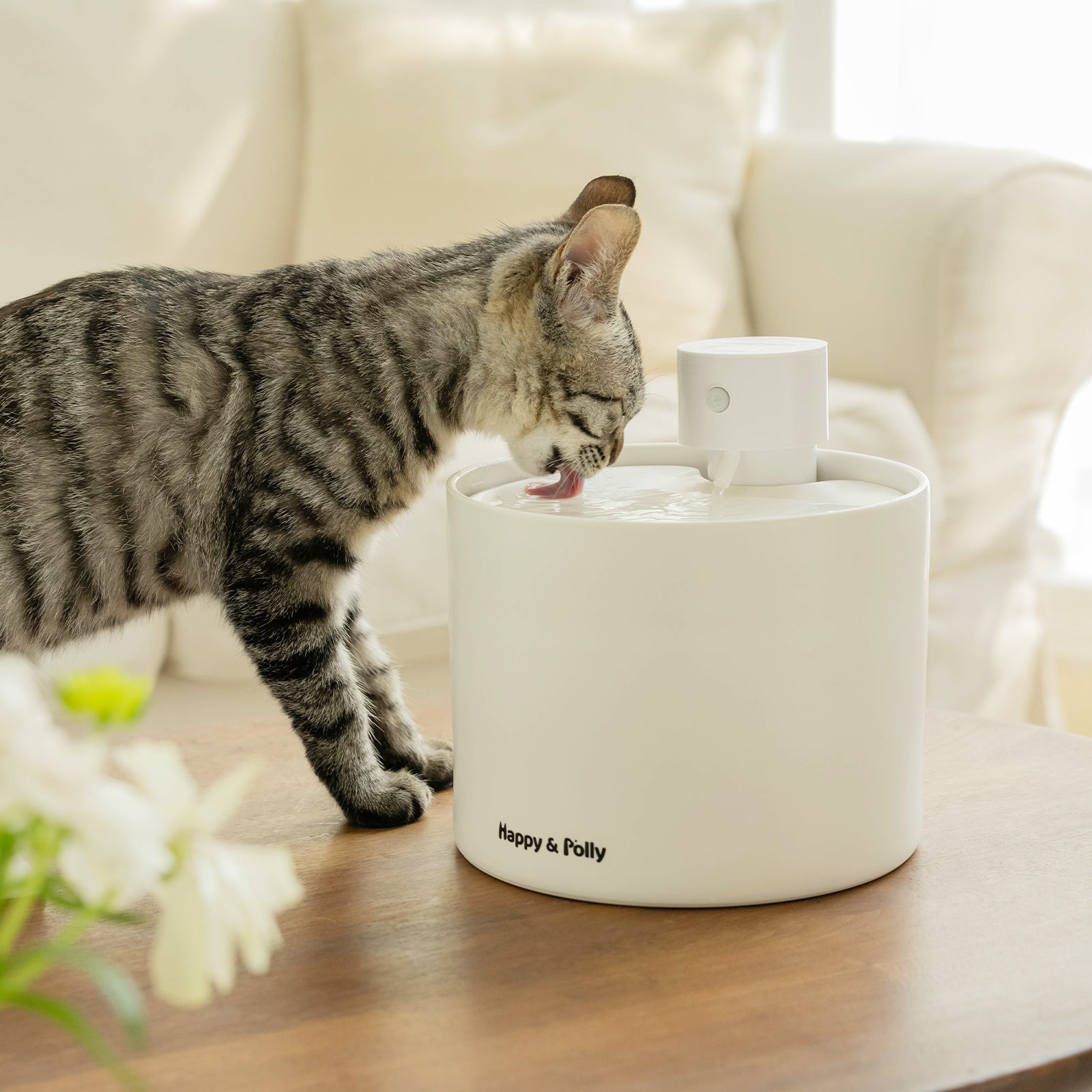 ceramic cat water fountain