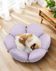 Cool Ice Silk Cat Bed