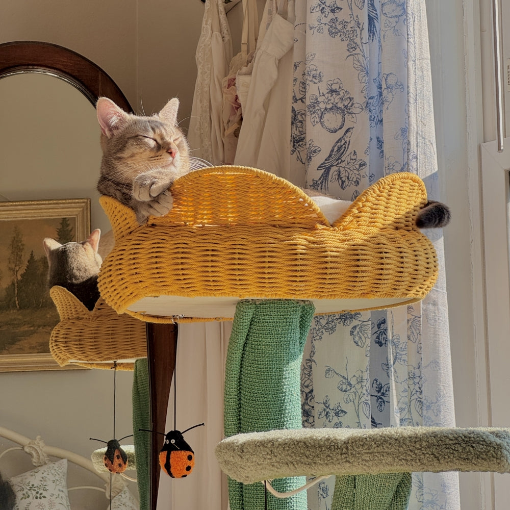 Yellow Tulip Cat Tree