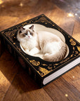 Midnight Grimoire Cat Scratcher with cat