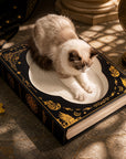 Cat scratching in moonlight scene