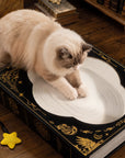 Cat scratching removable pad