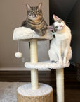 Two cats resting in the soft beds of the Milk Cloud Cat Tree