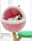 Ragdoll cat sleeping in the piranha flower condo of the Monster World Cat Tree