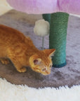 An orange cat jumping on the three flower platforms of the Bloomy Flower Cat Tree