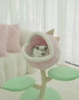 monster-world-cat-tree-ragdoll-cat-sleeping-playing