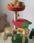 Two cats playing on the Fruit World Cat Tree