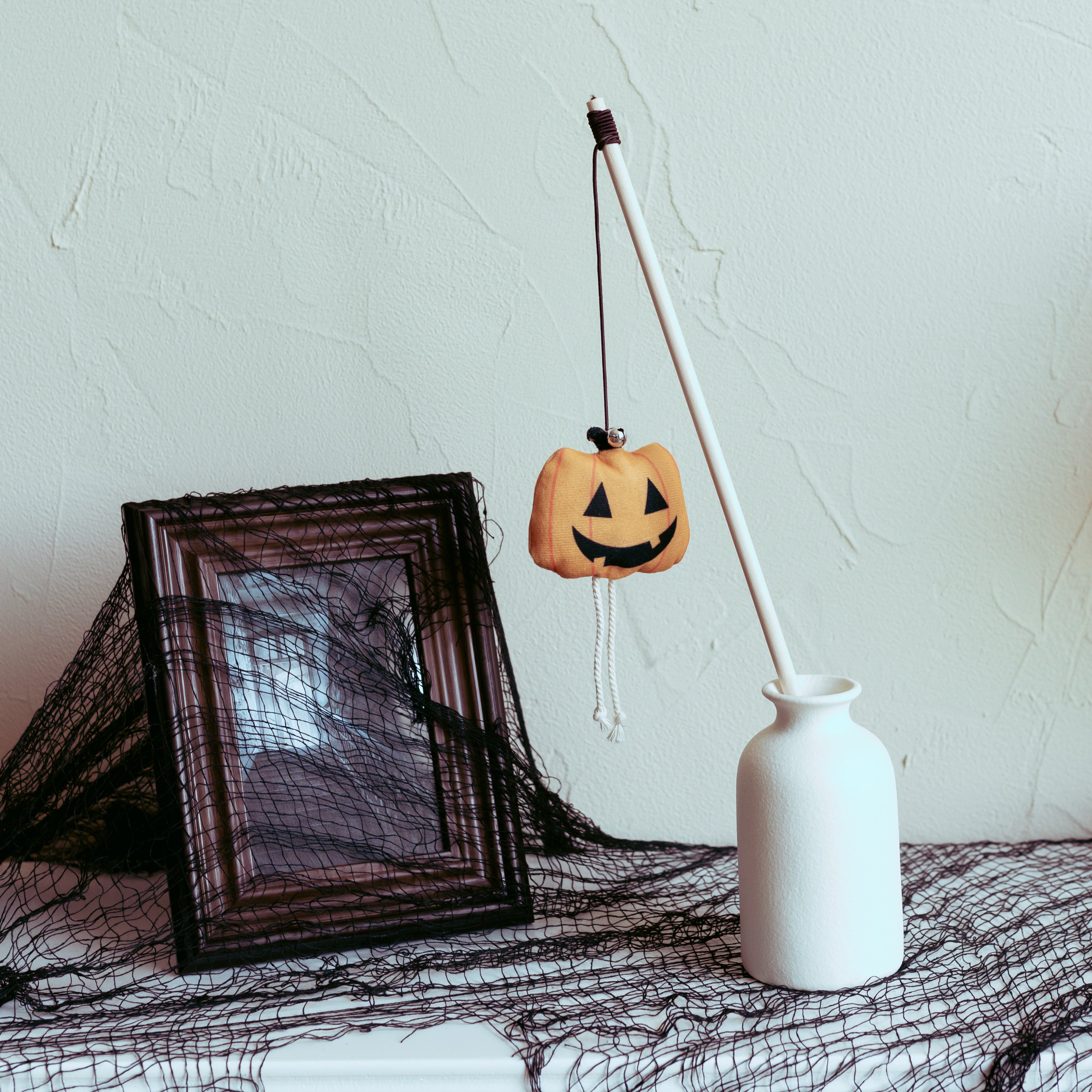 pumpkin Cat Teaser