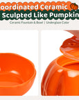 Close-up of the glossy underglaze ceramic fountain and bowl.