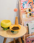 raised cat food bowls