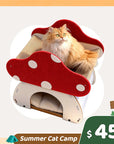 Summer Cat Camp Sale - Bone China Double Cat Bowl